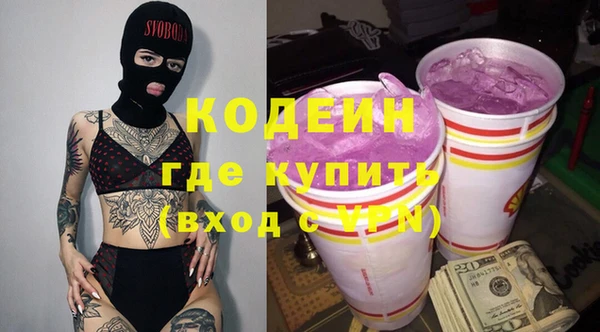 прущие грибы Михайлов