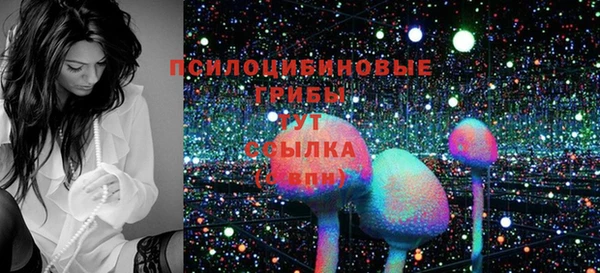 мяу мяу мука Алзамай