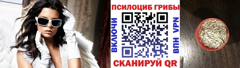где продают наркотики  Юрьевец  Псилоцибиновые грибы GOLDEN TEACHER 
