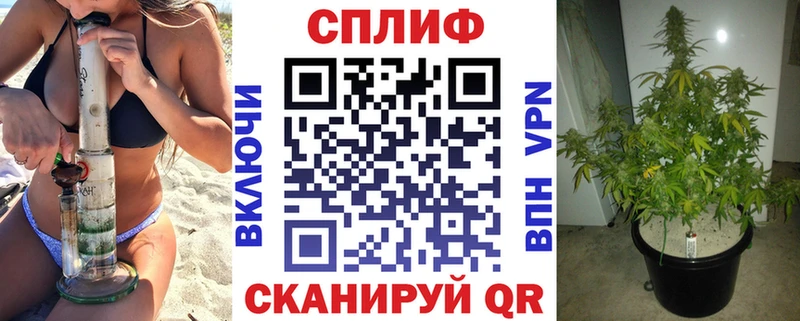 продажа наркотиков  Юрьевец  kraken маркетплейс  Шишки марихуана Bruce Banner 